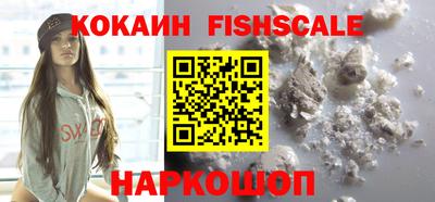 амф Сланцы