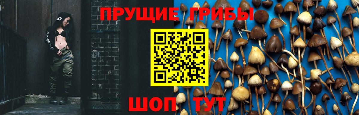 Галлюциногенные грибы мухоморы  Вход с VPN  Нерюнгри 